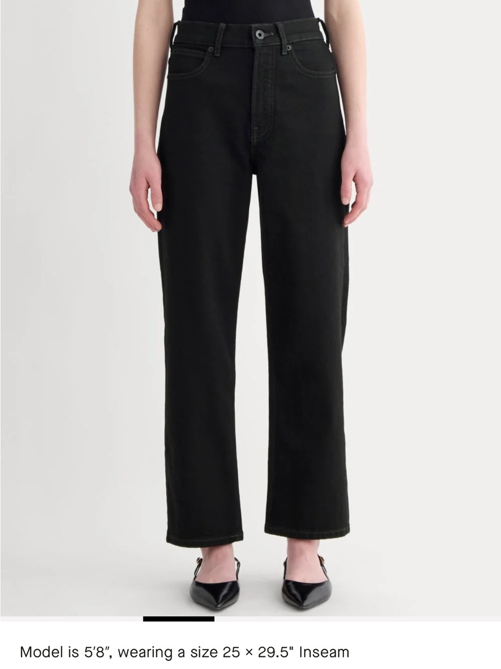 Everlane The Way High Jean Size 29